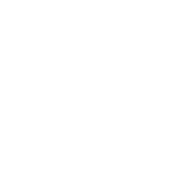 Service 4